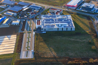 DBK EMS GmbH & Co. KG dans le parc industriel de Nordring à Rülzheim dans le département Rhénanie-Palatinat, Allemagne depuis l'avion