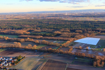 Vue aérienne de Bienwald am Klingbach, Rottenbach et Saugraben à Herxheim bei Landau dans le département Rhénanie-Palatinat, Allemagne