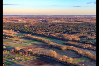 Vue aérienne de Terrain de sport modèle à Rülzheim dans le département Rhénanie-Palatinat, Allemagne