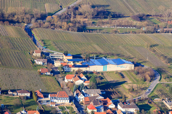 Vue aérienne de Emil Wissing GmbH Wissing Wines à l'Amandier à Oberotterbach dans le département Rhénanie-Palatinat, Allemagne
