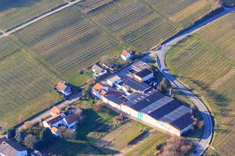 Photographie aérienne de Emil Wissing GmbH Wissing Wines à l'Amandier à Oberotterbach dans le département Rhénanie-Palatinat, Allemagne