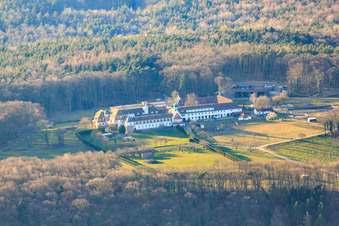 Vue aérienne de Pension pour chevaux du monastère de Liebfrauenberg à Bad Bergzabern dans le département Rhénanie-Palatinat, Allemagne