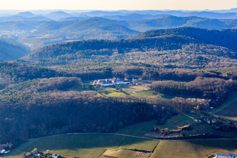 Vue aérienne de Pension pour chevaux du monastère de Liebfrauenberg à Bad Bergzabern dans le département Rhénanie-Palatinat, Allemagne