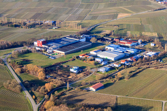 Vue oblique de Domaine viticole Kleine Kalmit à Ilbesheim bei Landau dans le département Rhénanie-Palatinat, Allemagne