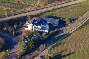 Vue aérienne de Domaine viticole Geiler à Ilbesheim bei Landau dans le département Rhénanie-Palatinat, Allemagne