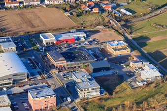Vue aérienne de Zone industrielle Ottoh-Hahn-Straße avec Citroën Landau : Fischer Kraftfahrzeuge GmbH, DAS FUTTERHAUS - Landau et Hammer-Services à le quartier Queichheim in Landau in der Pfalz dans le département Rhénanie-Palatinat, Allemagne