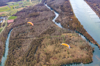 Vue aérienne de Altrhein Bremengrund à Au am Rhein dans le département Bade-Wurtemberg, Allemagne