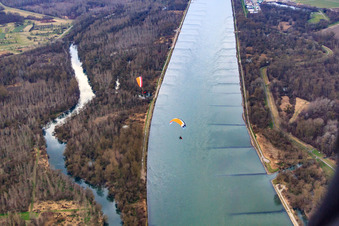 Photographie aérienne de Altrhein Bremengrund à Au am Rhein dans le département Bade-Wurtemberg, Allemagne