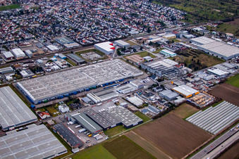 Vue aérienne de Centre logistique L'Oréal Allemagne à Muggensturm dans le département Bade-Wurtemberg, Allemagne