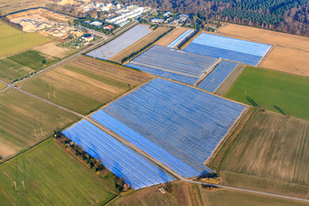 Vue aérienne de Champs de légumes et de salades sous film à Durmersheim dans le département Bade-Wurtemberg, Allemagne