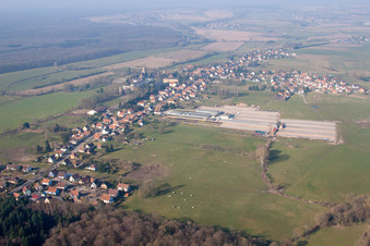 Photographie aérienne de Walbourg dans le département Bas Rhin, France