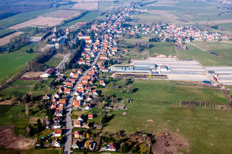 Vue aérienne de Champs agricoles et terres agricoles à Walbourg dans le département Bas Rhin, France