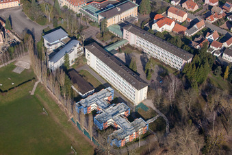 Walbourg dans le département Bas Rhin, France depuis l'avion