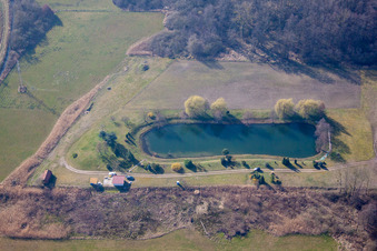 Bischwiller dans le département Bas Rhin, France vue du ciel