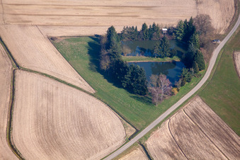 Vue aérienne de Étang à poissons à le quartier Legelshurst in Willstätt dans le département Bade-Wurtemberg, Allemagne