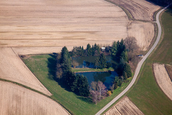 Vue aérienne de Étang à poissons à le quartier Legelshurst in Willstätt dans le département Bade-Wurtemberg, Allemagne