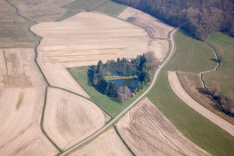Photographie aérienne de Étang à poissons à le quartier Legelshurst in Willstätt dans le département Bade-Wurtemberg, Allemagne