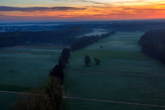 Vue oblique de Les plaines d'Otterbach dans la brume matinale à Kandel dans le département Rhénanie-Palatinat, Allemagne