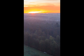 Vue aérienne de Lever de soleil sur le Bienwald à Wörth am Rhein dans le département Rhénanie-Palatinat, Allemagne