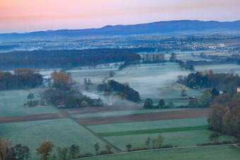 Vue aérienne de Biotope dans la plaine d'Otterbach dans la brume matinale à Minfeld dans le département Rhénanie-Palatinat, Allemagne