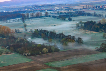 Vue aérienne de Biotope dans la plaine d'Otterbach dans la brume matinale à Minfeld dans le département Rhénanie-Palatinat, Allemagne