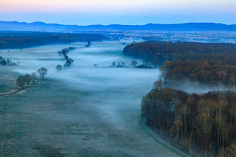 Vue aérienne de Les plaines d'Otterbach dans la brume matinale à Freckenfeld dans le département Rhénanie-Palatinat, Allemagne