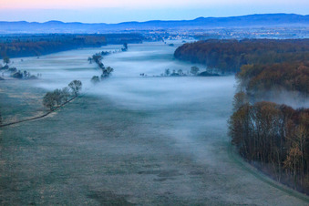 Vue aérienne de Les plaines d'Otterbach dans la brume matinale à Freckenfeld dans le département Rhénanie-Palatinat, Allemagne