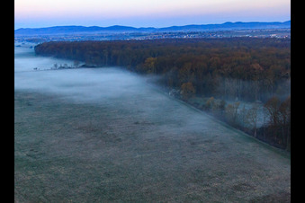 Photographie aérienne de Les plaines d'Otterbach dans la brume matinale à Freckenfeld dans le département Rhénanie-Palatinat, Allemagne