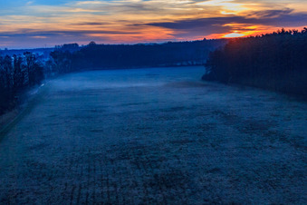 Vue oblique de Les plaines d'Otterbach dans la brume matinale au lever du soleil à Minfeld dans le département Rhénanie-Palatinat, Allemagne