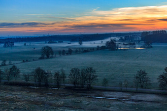 Biotope dans la plaine d'Otterbach dans la brume matinale à Minfeld dans le département Rhénanie-Palatinat, Allemagne hors des airs
