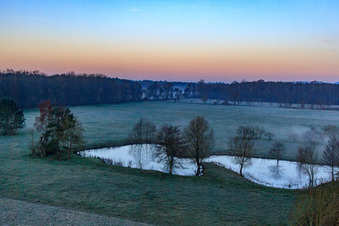 Biotope dans la plaine d'Otterbach dans la brume matinale à Minfeld dans le département Rhénanie-Palatinat, Allemagne vue d'en haut