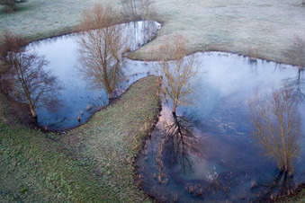 Vue aérienne de Zone forestière de Bienwald, avec les clairières de l'Otterbachtal à Minfeld dans le département Rhénanie-Palatinat, Allemagne