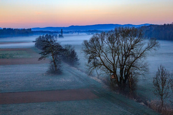 Vue aérienne de Neugraben dans la plaine d'Otterbach dans la brume matinale à Freckenfeld dans le département Rhénanie-Palatinat, Allemagne