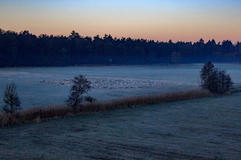 Photographie aérienne de Neugraben dans la plaine d'Otterbach dans la brume matinale à Freckenfeld dans le département Rhénanie-Palatinat, Allemagne