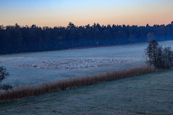Vue oblique de Neugraben dans la plaine d'Otterbach dans la brume matinale à Freckenfeld dans le département Rhénanie-Palatinat, Allemagne