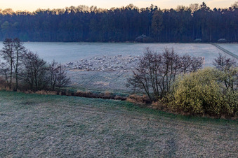 Neugraben dans la plaine d'Otterbach dans la brume matinale à Freckenfeld dans le département Rhénanie-Palatinat, Allemagne hors des airs