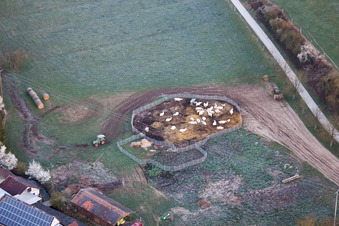 Moulin Schaidter à le quartier Schaidt in Wörth am Rhein dans le département Rhénanie-Palatinat, Allemagne du point de vue du drone