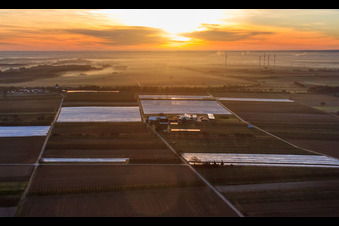 Vue aérienne de Jardin du fermier au lever du soleil à Winden dans le département Rhénanie-Palatinat, Allemagne