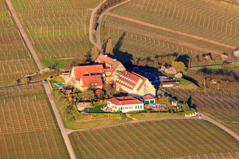 Vue aérienne de Cour de l'hôtel Leinsweiler le matin depuis le sud-est à Leinsweiler dans le département Rhénanie-Palatinat, Allemagne