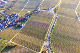 Vue aérienne de Route des vins avec les amandiers en fleurs à l'entrée du village à Ranschbach dans le département Rhénanie-Palatinat, Allemagne