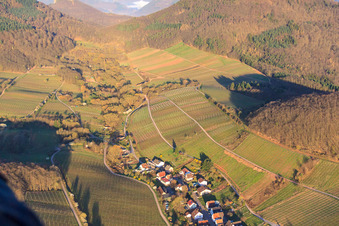 Vue aérienne de Vignes nues à l'extrémité du village dans le Ranschbachtal à Ranschbach dans le département Rhénanie-Palatinat, Allemagne
