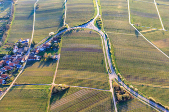 Vue aérienne de Route des vins avec les amandiers en fleurs à l'entrée du village à le quartier Arzheim in Landau in der Pfalz dans le département Rhénanie-Palatinat, Allemagne
