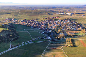 Vue aérienne de Village viticole dans la lumière matinale du nord à Ilbesheim bei Landau dans le département Rhénanie-Palatinat, Allemagne