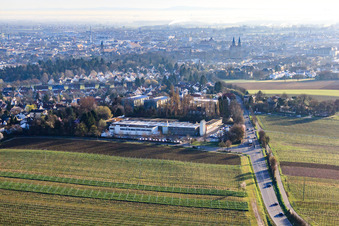 Wollmesheimer Höhe à Landau in der Pfalz dans le département Rhénanie-Palatinat, Allemagne vue d'en haut