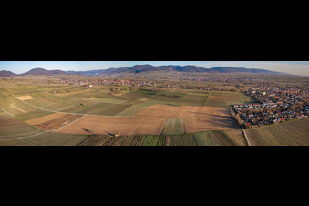 Vue aérienne de Champs entre Landau W et Arzheim à le quartier Wollmesheim in Landau in der Pfalz dans le département Rhénanie-Palatinat, Allemagne