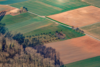 Vue aérienne de Lisière de forêt à Hofgraben à le quartier Dreihof in Essingen dans le département Rhénanie-Palatinat, Allemagne