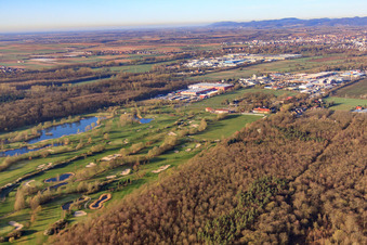 Image drone de Golf Course Landgut Dreihof - GOLF absolu le matin à le quartier Dreihof in Essingen dans le département Rhénanie-Palatinat, Allemagne