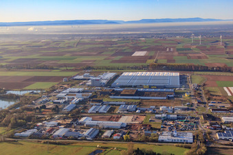 Vue aérienne de Zone industrielle Interpark vue du nord avec Progroup Board GmbH et le centre logistique Mercedes-Benz à Offenbach an der Queich dans le département Rhénanie-Palatinat, Allemagne