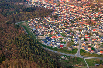 Photographie aérienne de Bague pour oiseau à Jockgrim dans le département Rhénanie-Palatinat, Allemagne