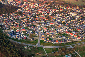 Vue oblique de Bague pour oiseau à Jockgrim dans le département Rhénanie-Palatinat, Allemagne
